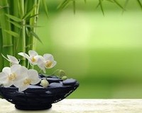 Feng Shui